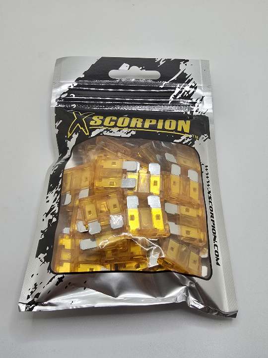 5 Amp Fuse