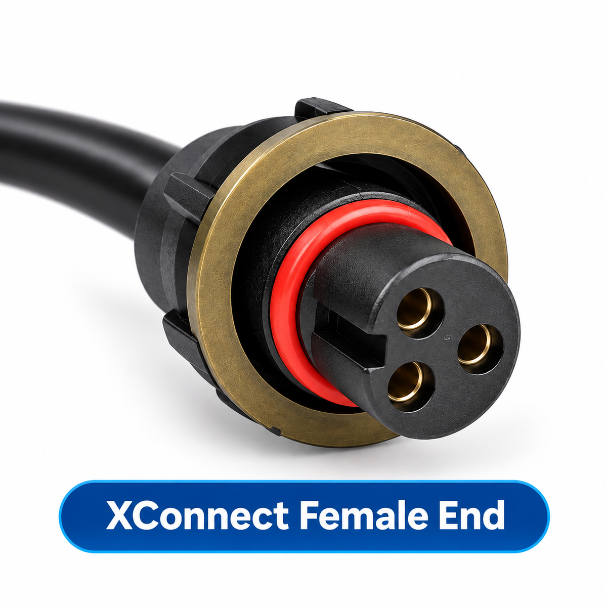 Pigtails Female End – 20-inch, 10-Pack
